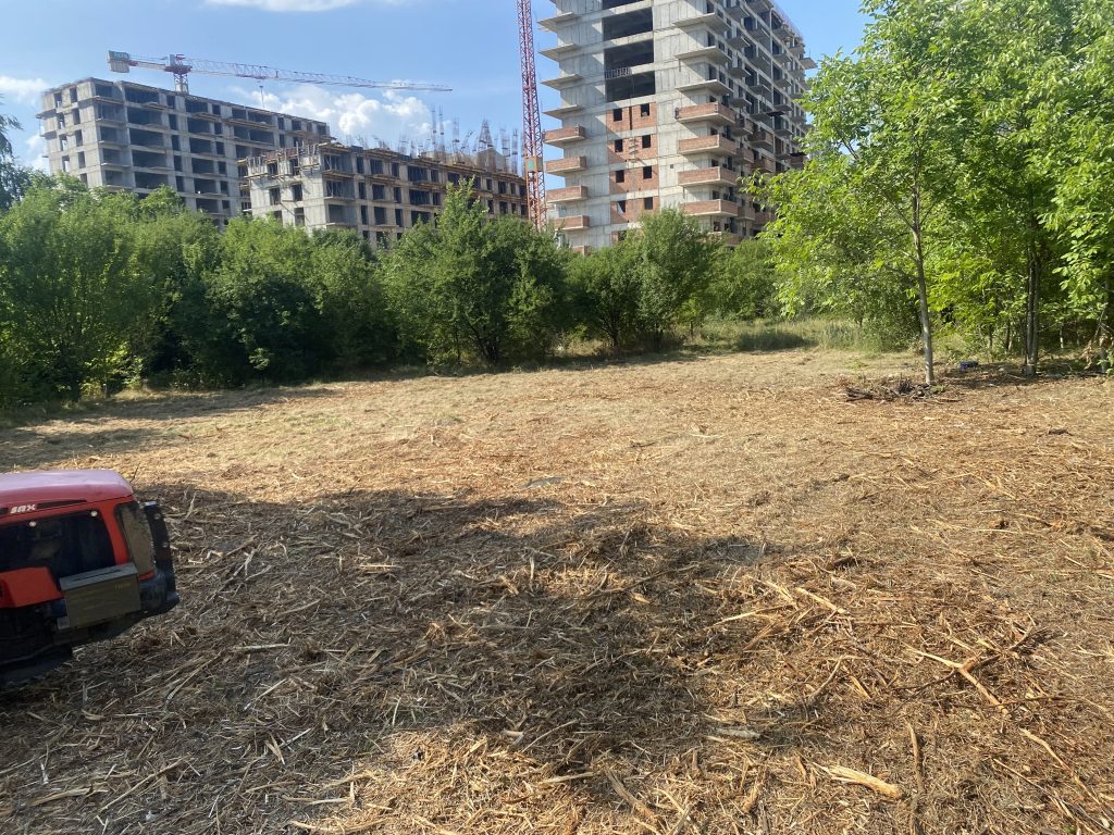 Defrisare teren intravilan