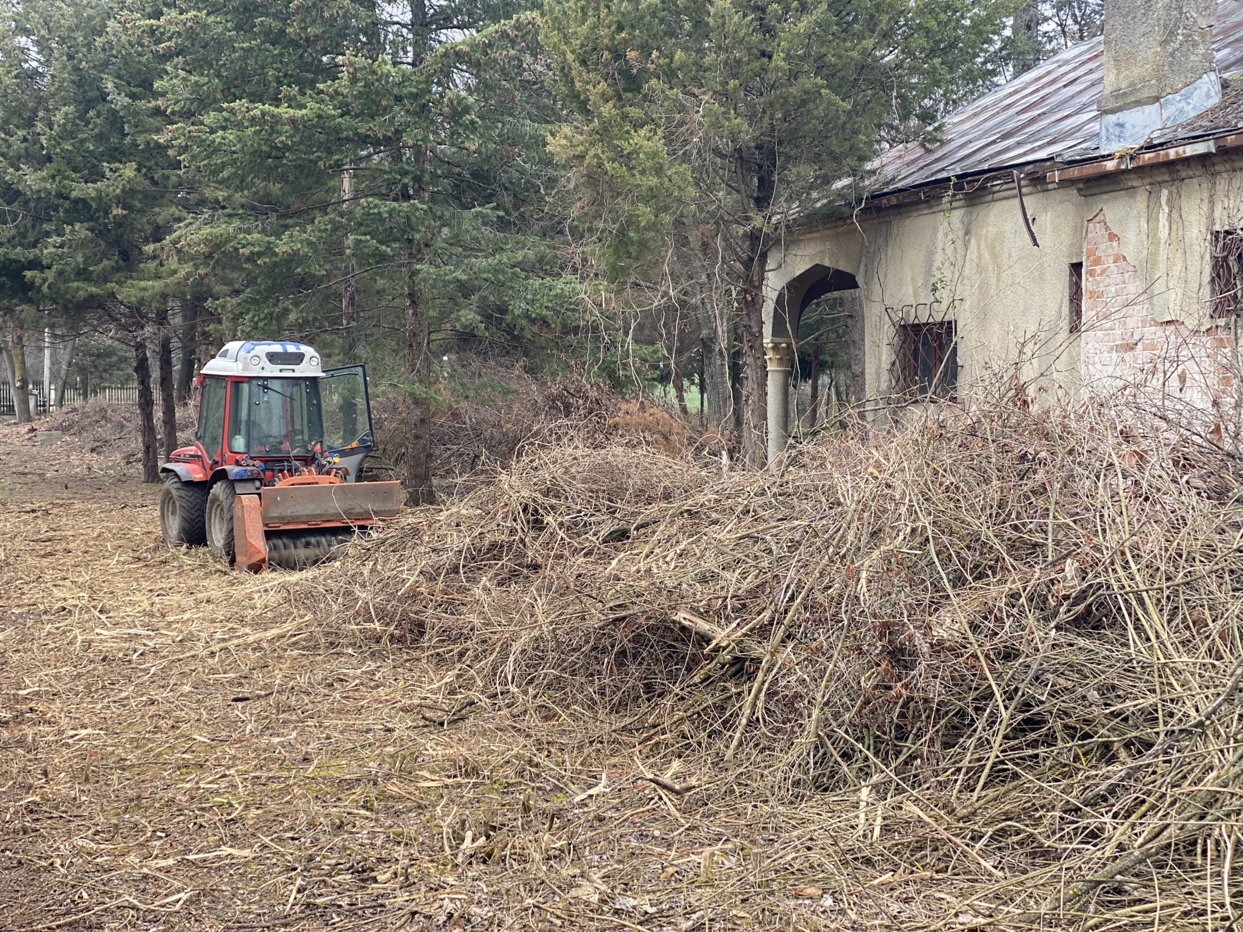 Curatare,defrisare teren