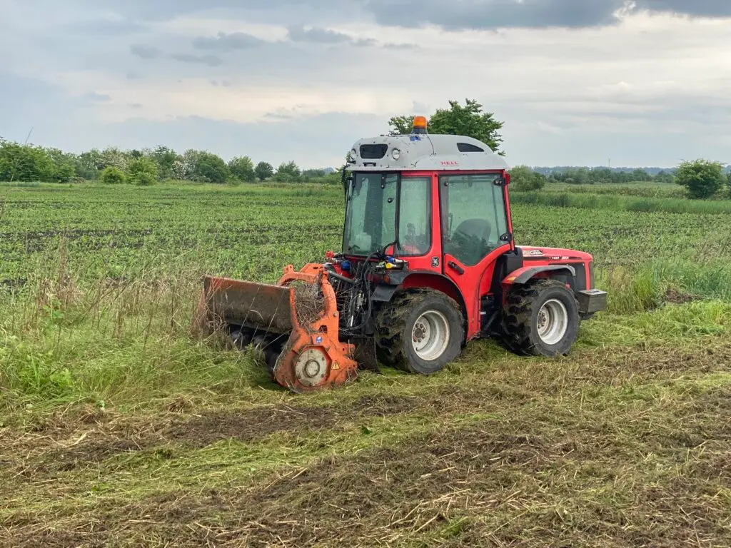 Curatat teren si defrisare terenuri