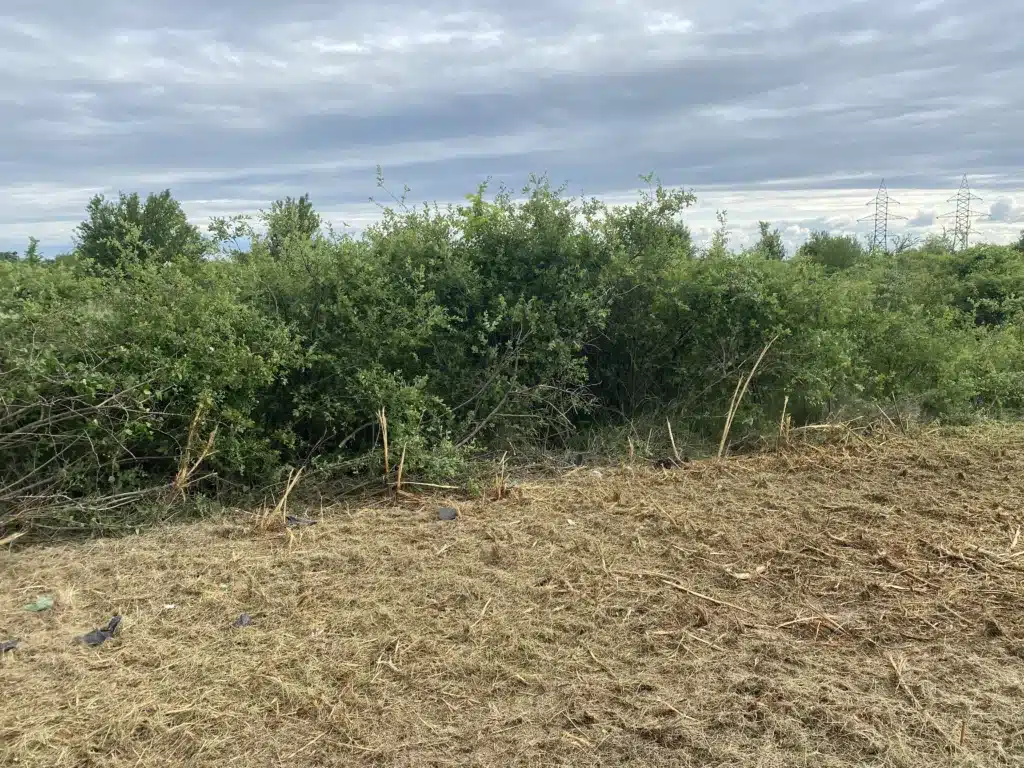 Curatare teren Ilfov